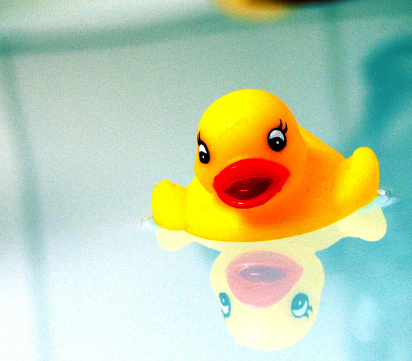 Quak, Quak... Duck in a bath.