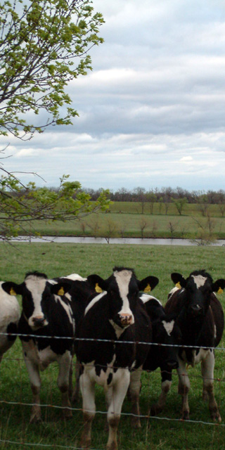 America's Heartland