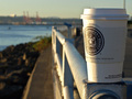 Seattle Morning Cup