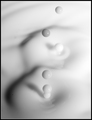 Raw Milkospheres