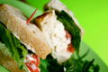 Chicken Salad Sandwich