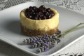 Miniature Blueberry Cheesecake
