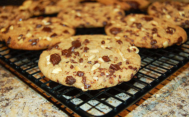 Peanut Butter Chocolate Chunkers