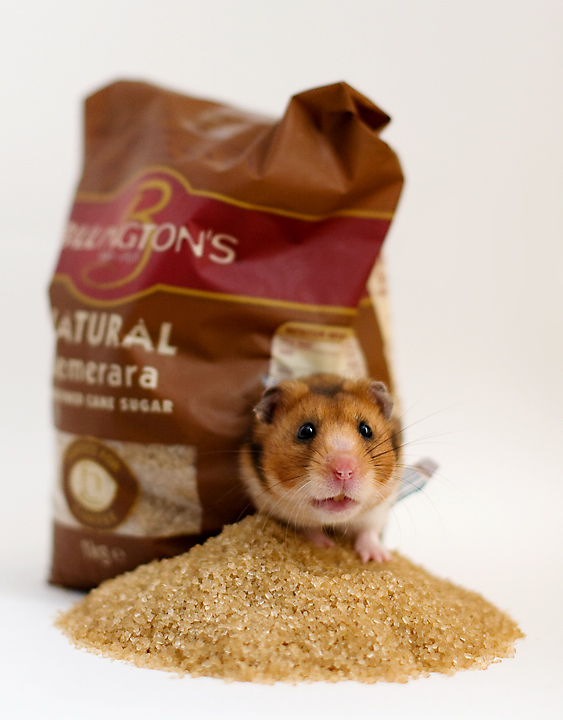 Sugar Thief