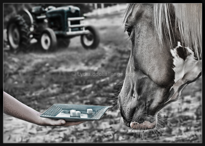 Something made Mr. Horse suspect the tractor was broken again.