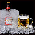 Budweiser- King of Cold
