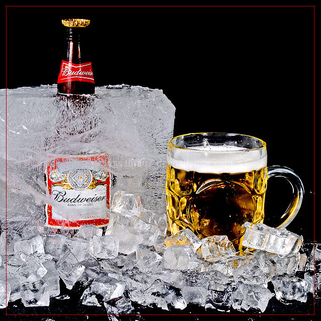 Budweiser- King of Cold