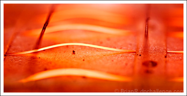 Down into the Toaster