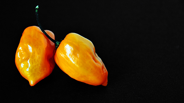 HABANEROS  !!!!