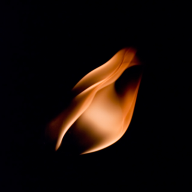 Fire Lily
