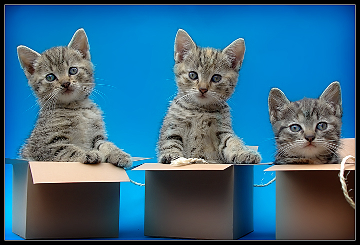 Special Delivery, handle with TLC.
