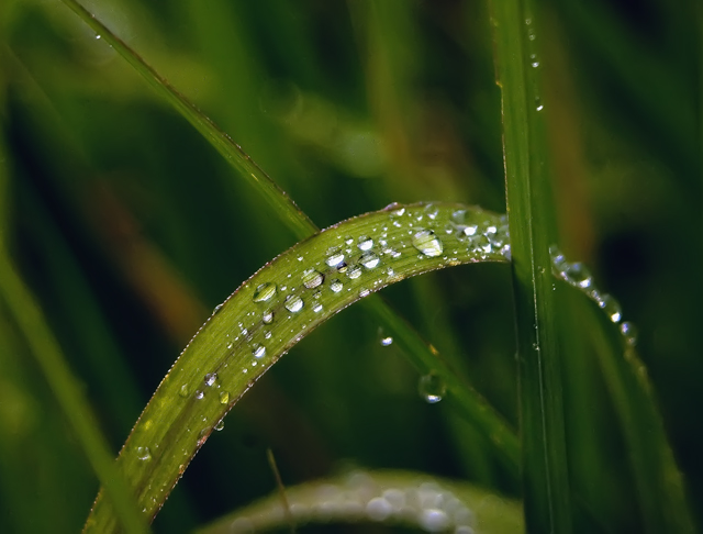 After the Rain