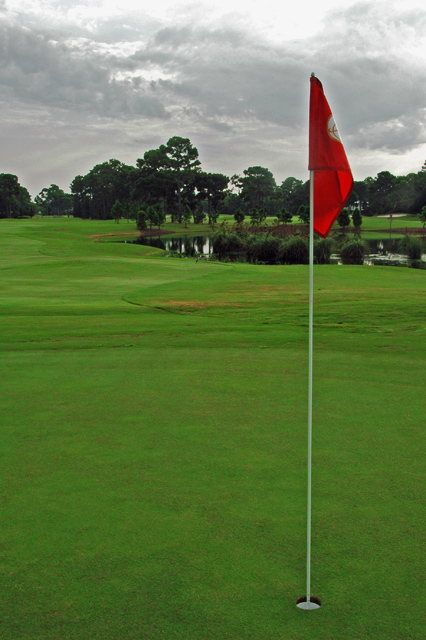 A Golfer's Lawn