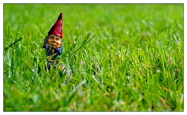 Murgel, the lawn gnome
