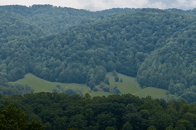 Mountain Lawn