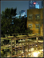 Urban Jungle Gym