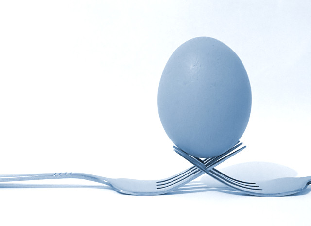 Balance of Egg-Cellence