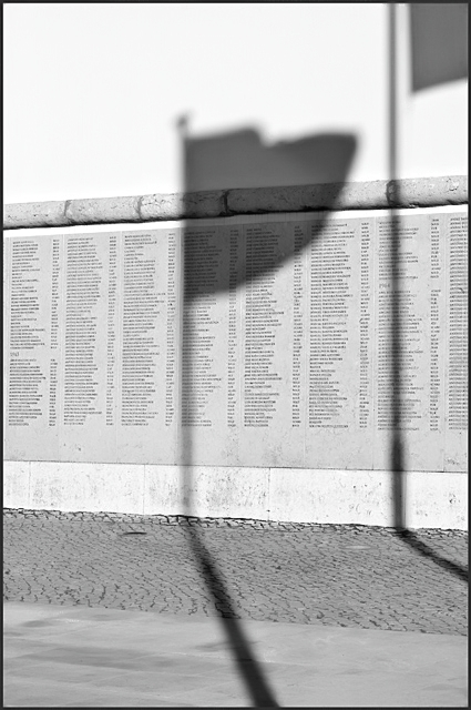 Fallen Soldiers