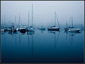 Before the Fog has Lifted