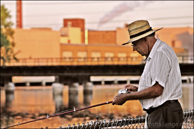 EARLY WORM CATCHES THE FISH