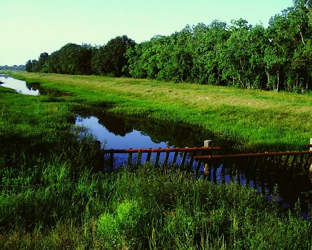 Morning on Mustang Bayou