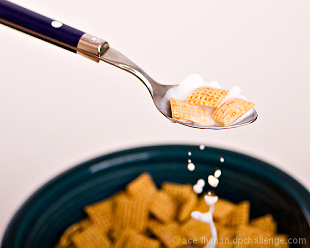 Breakfast of Champions