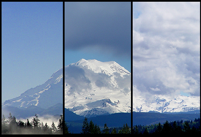 Rainier Triptych