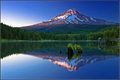Mt Hood