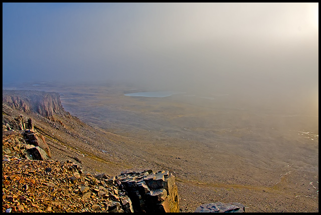 Foggy Evening