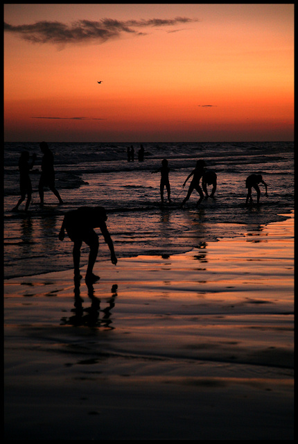 Playtime en la Playa