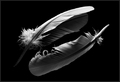 ' . substr('//images.dpchallenge.com/images_challenge/0-999/901/120/716331.jpg', strrpos('//images.dpchallenge.com/images_challenge/0-999/901/120/716331.jpg', '/') + 1) . '