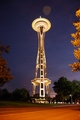 Needle at night