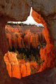 Nature's Gothic Cathedral : Bryce Canyon