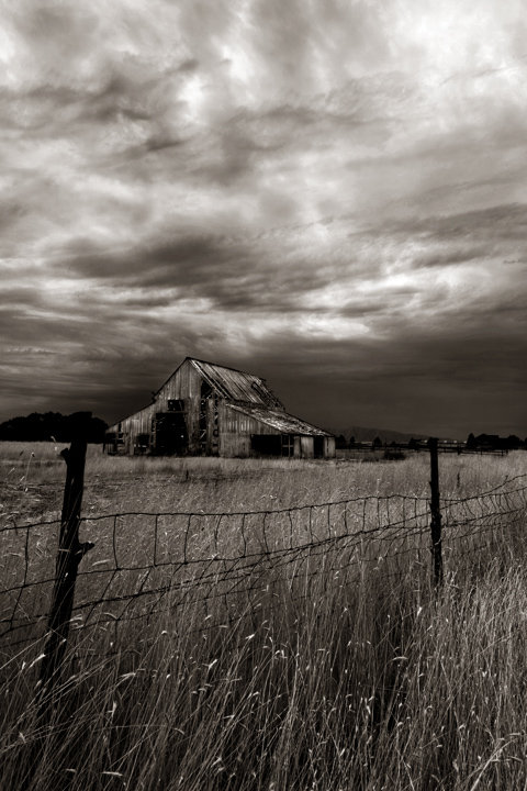the barn