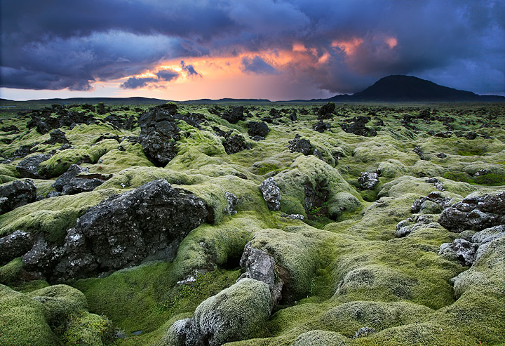 Lava Fields on Fire