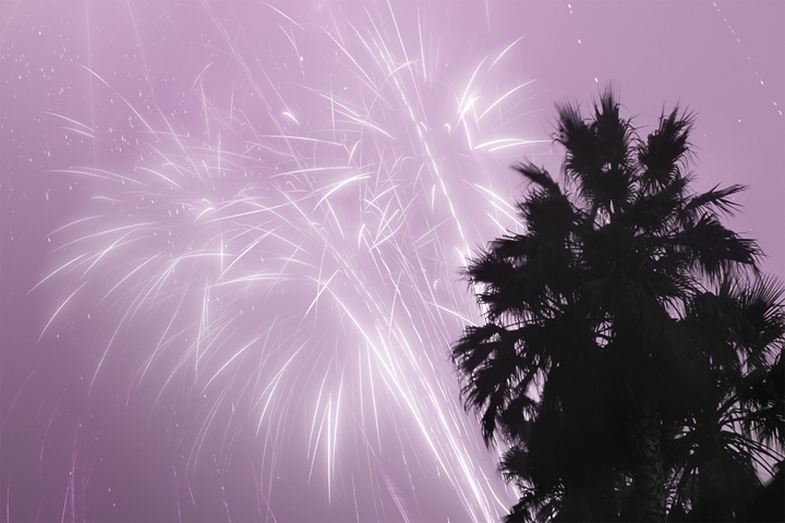 Fireworks and Palm Trees