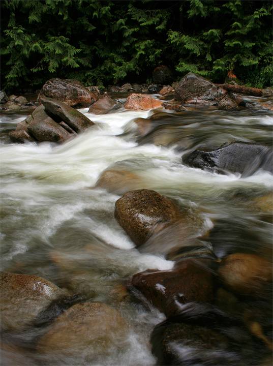 Denny Creek #1