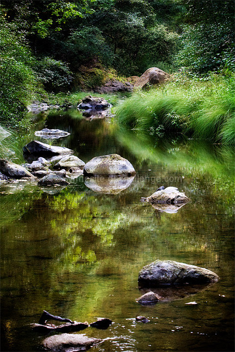 Pescadero Creek