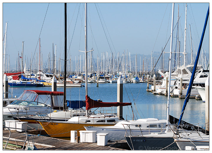 Peaceful Harbor