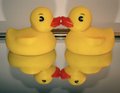 Ducky Love