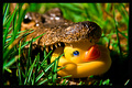 Rubber Ducky Dinner