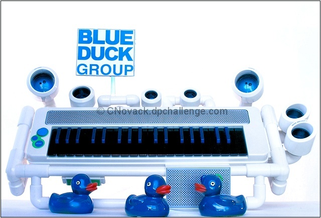 Blue Duck Group: The Echo Quack Tour