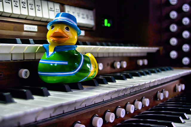 Toccata and Duck in D Minor