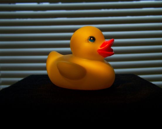 Ducky II