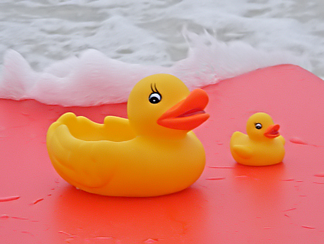 Surfboarding Duckies