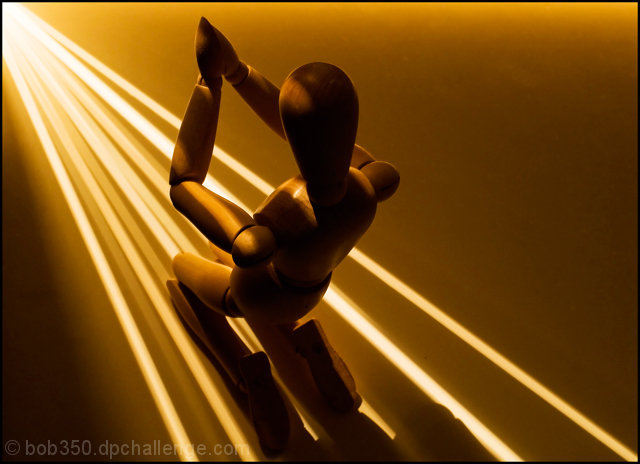 Woody's Enlightenment