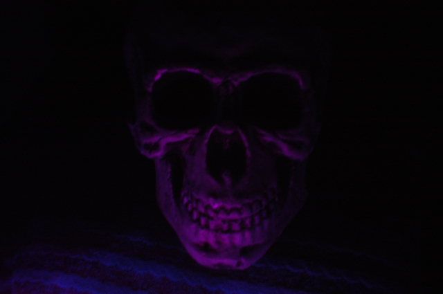 the skull 