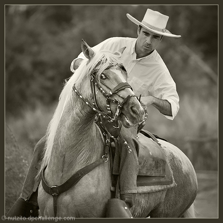 My Horse