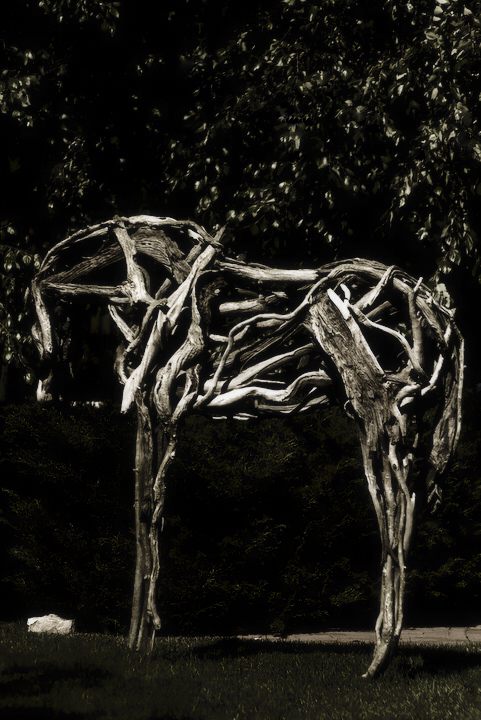 Kua - Deborah Butterfield