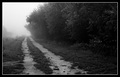 Forgotten Path